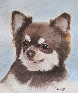 可愛い子犬 - 2 : IKUOの水彩画集 可愛い子犬 - 2 : IKUOの水彩画集