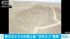 「ナスカの地上絵」新たに発見 丘にネコ科の動物