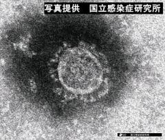 コロナウイルスに新たな変異種…ワクチンへの影響は不明