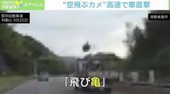 「空飛ぶカメ」高速道路で車直撃 大阪