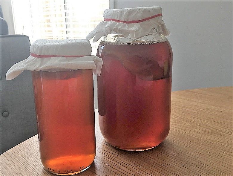 Kombucha 紅茶キノコはじめました 怪物くん騒がし部活 Kombucha 紅茶キノコはじめました 怪物くん騒がし部活