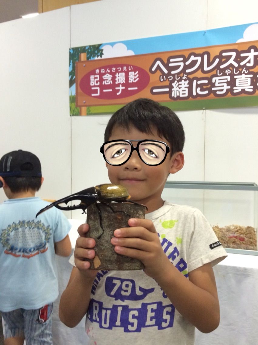 横手の秋田ふるさと村 子供と遊ぼう プラスa 横手の秋田ふるさと村 子供と遊ぼう プラスa