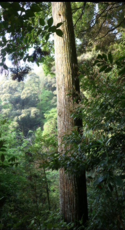 Screenshot_20210512-045156