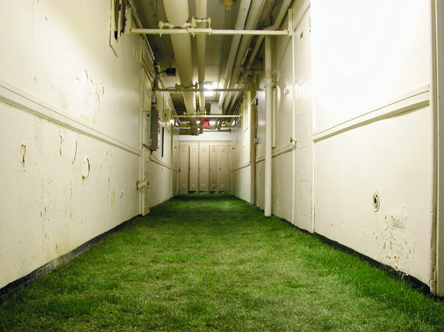 BLOOM-by-Anna-Schuleit-Basement-with-Sod