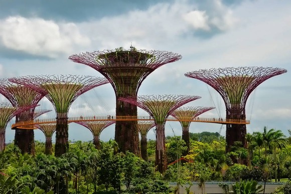supertree supertrees singapore 9