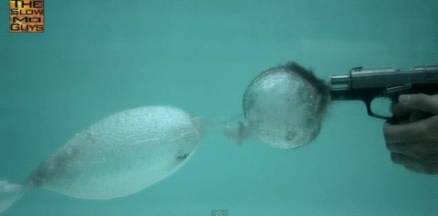 WS000008