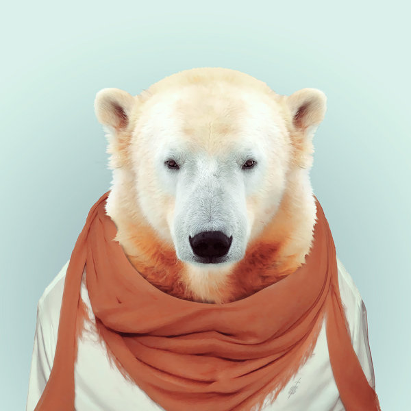 33-animal-portrait-photography