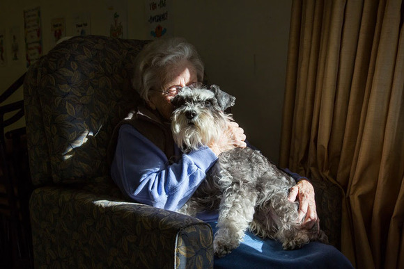 Therapy Dog2