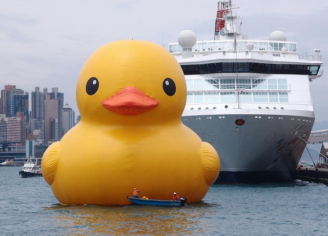 hongkongduck01