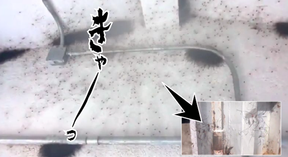 閲覧注意かも 鳥肌max 大量ウジャウジャのクモ そして天井からバサッと落ちてくるクモの塊がヤバイのクモ はうす ジャポンタ 閲覧注意かも 鳥肌max 大量ウジャウジャのクモ そして天井からバサッと落ちてくるクモの塊がヤバイのクモ はうす ジャポンタ