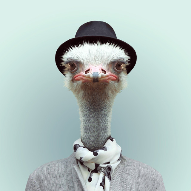 15-animal-portrait-photography