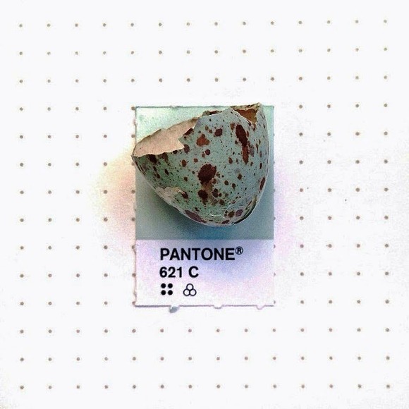 pantone2