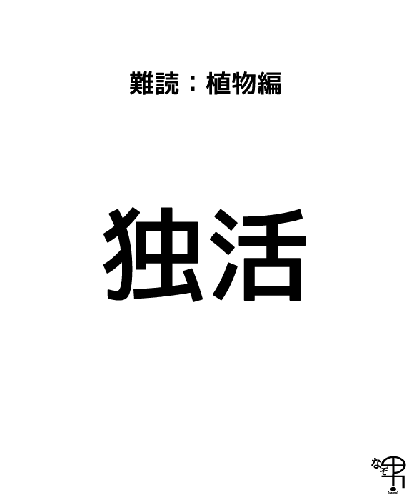 難読漢字 植物編 就活 妊活とか色んな活動あるけど 独活 って ジャポンタ