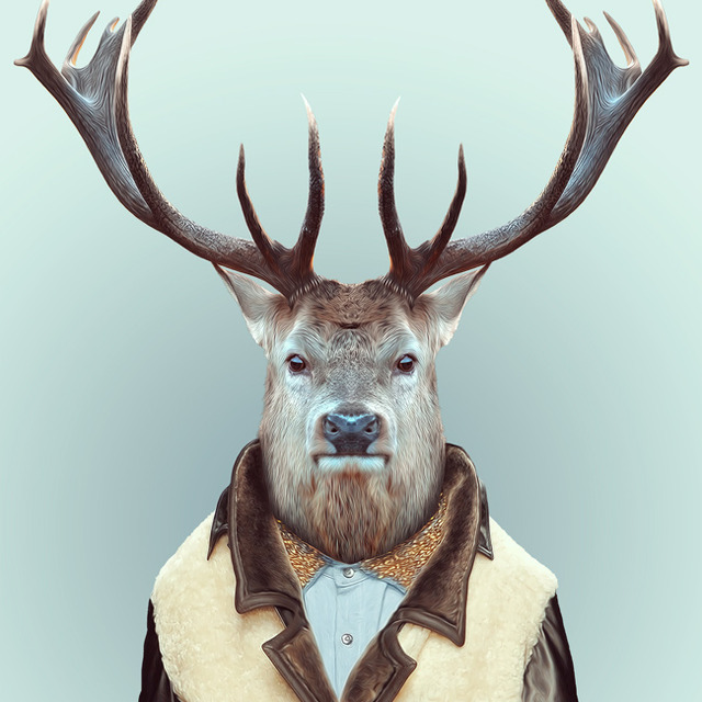 2-animal-portrait-photography