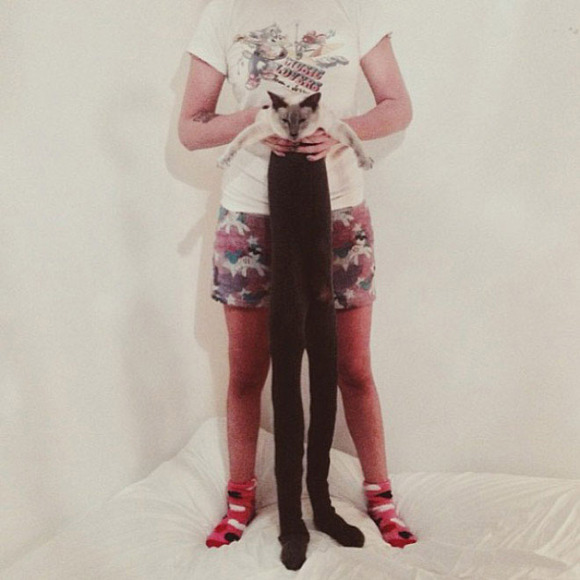 Cats-wearing-tights-5