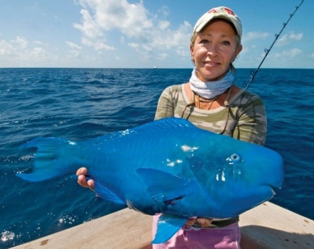 strange-animals-you-didnt-know-2-10-1-600x477