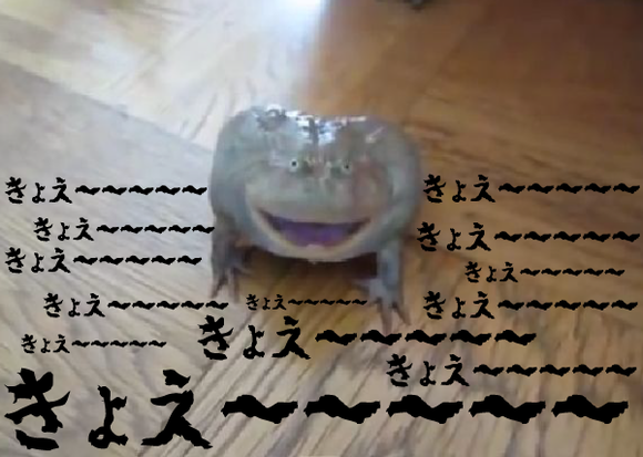 キャプチャリング600