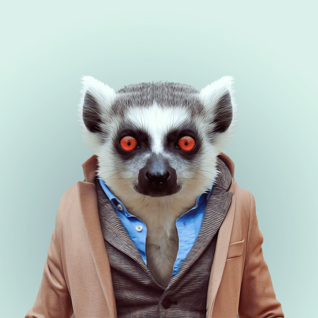 30-animal-portrait-photography