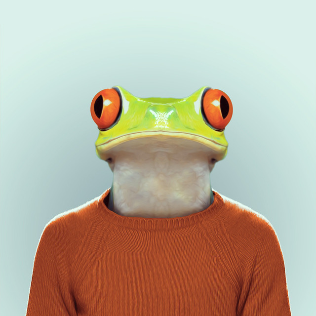 19-animal-portrait-photography