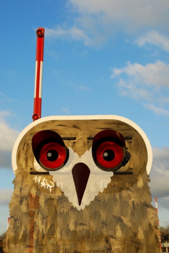 Oehoe_kl