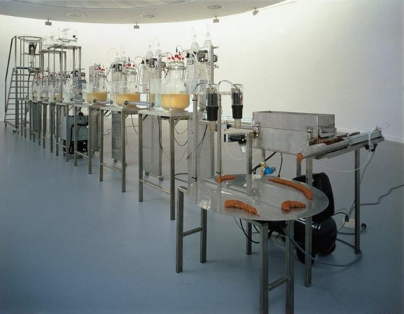 poo-machine-61