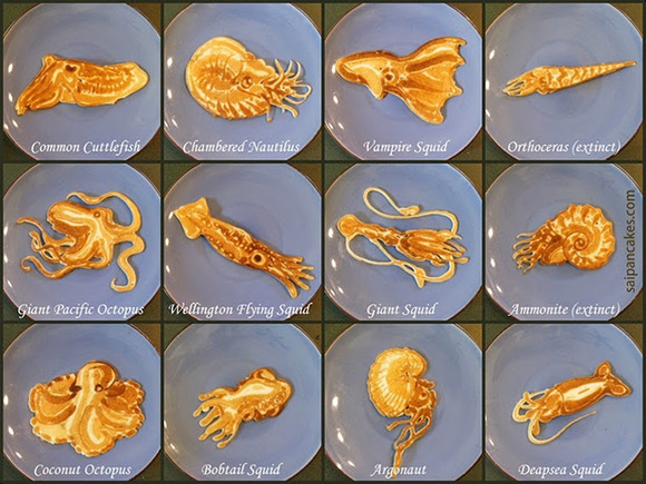 cephalopod_pancakes4