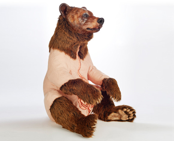 剥製術とぬいぐるみのクマのおもちゃを線引き 究極の熊のぬいぐるみが考えさせる人間主導型の地球環境 ジャポンタ