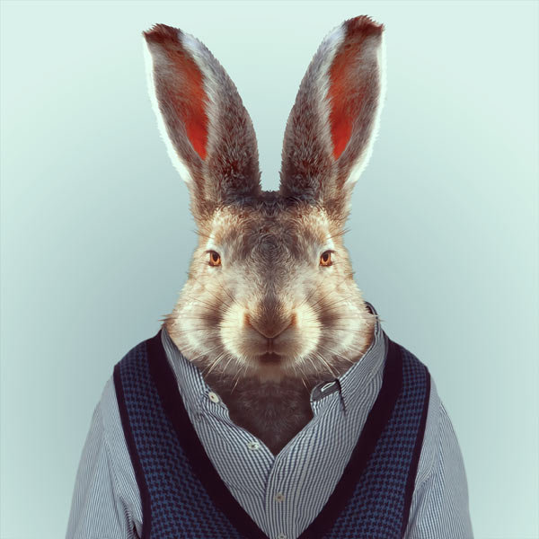 24-animal-portrait-photography