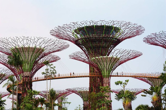 supertree supertrees singapore 6
