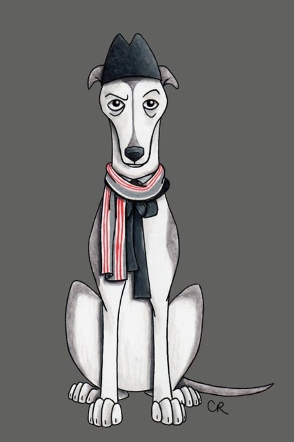 1st Dogtor - The Greyhound