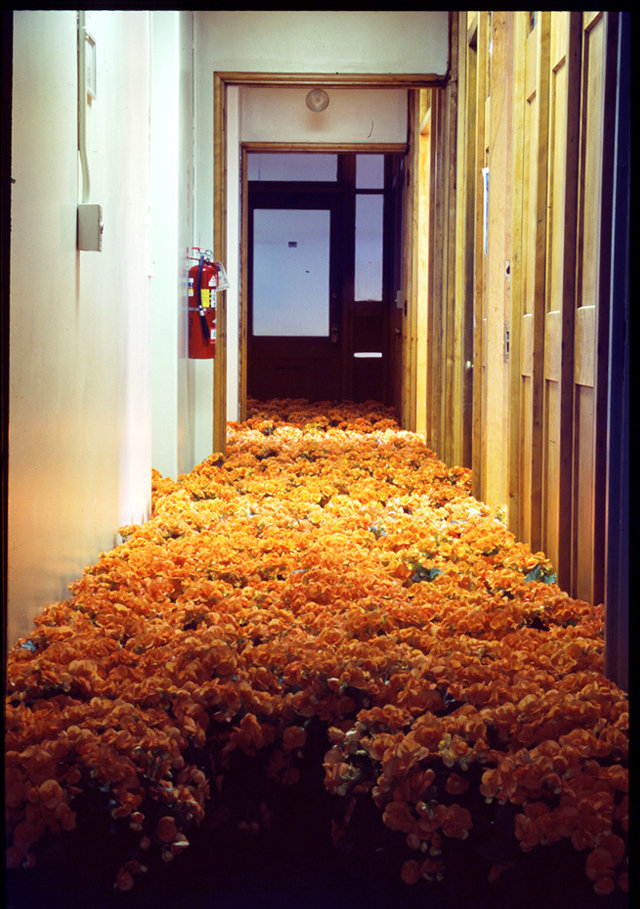BLOOM-by-Anna-Schuleit-orange-begonias