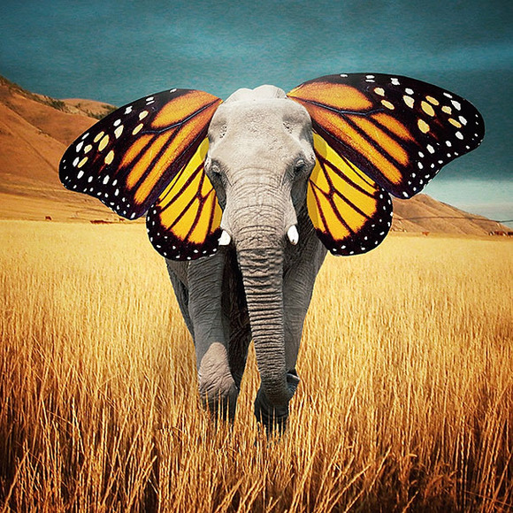 colourful-surreal-photography-robert-jahns-8