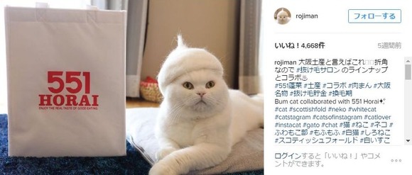 肉まんねこ 発見 ジャポンタ