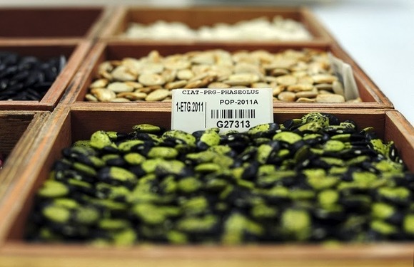 svalbard-seed-vault-72