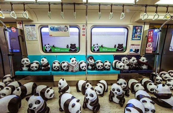 なんかパンダがいっぱいだ 絶滅危惧種のジャイアントパンダの生態意識を高めるプロジェクト ジャポンタ