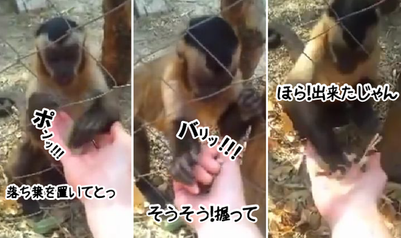 キャプチャリング600