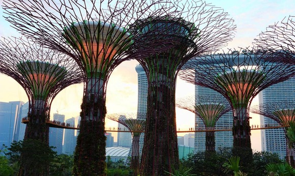 supertree supertrees singapore 4