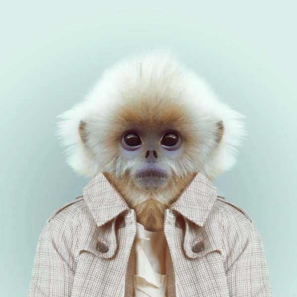 23-animal-portrait-photography