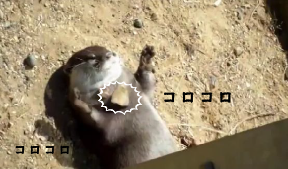 キャプチャリング600
