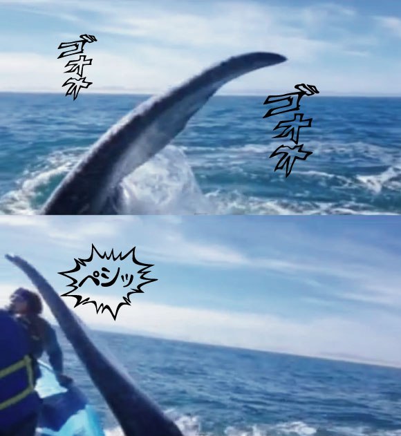 キャプチャリングロングロング