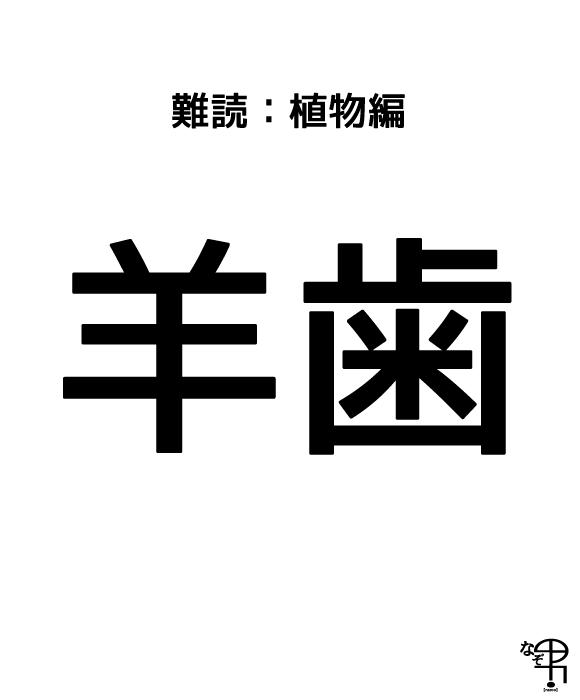 難読漢字 植物編 羊の歯 羊歯 っていう植物 ジャポンタ