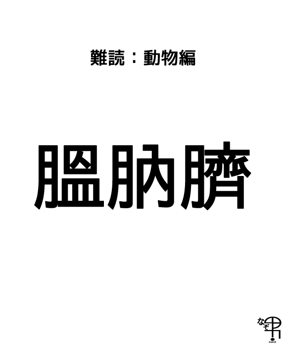 難読漢字 動物編 月 にくづき 多し 内蔵みたいなイメージだけど さて 読めるかな 膃肭臍 ジャポンタ