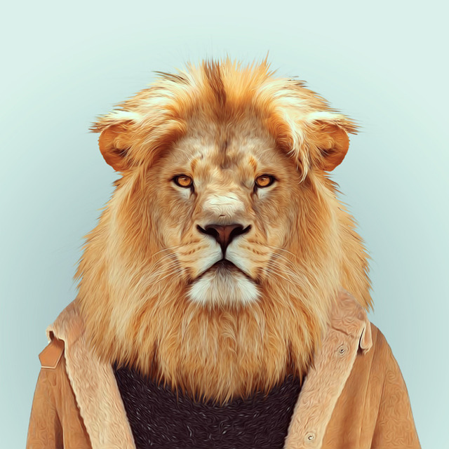 7-lion-portrait-photography