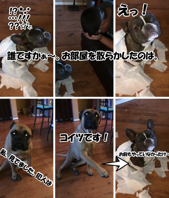 オモシロ ジャポンタ