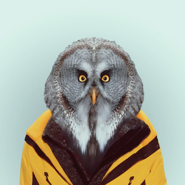 4-animal-portrait-photography