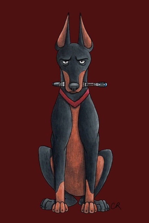 9th Dogtor - The Doberman