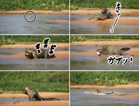 キャプチャリングロングロング