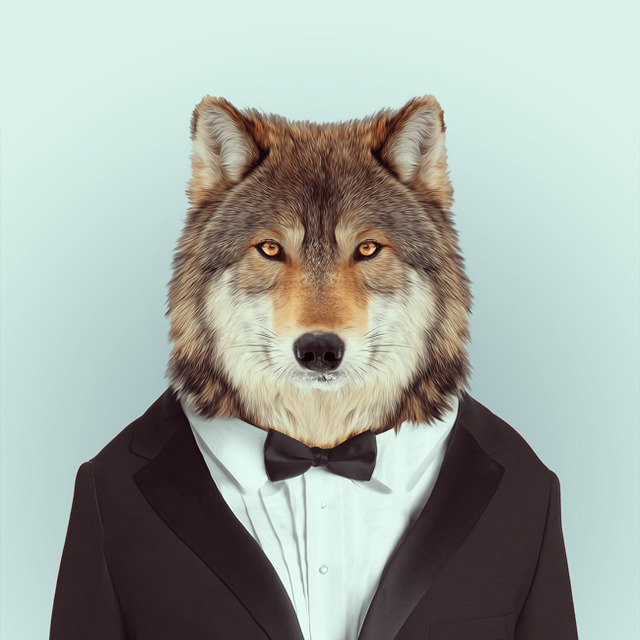 28-animal-portrait-photography