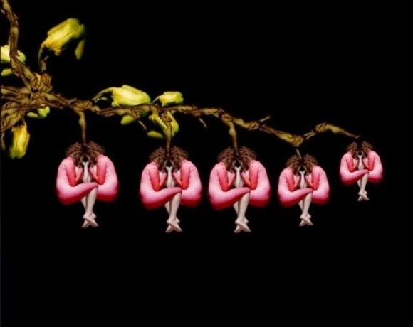 webbercollage2