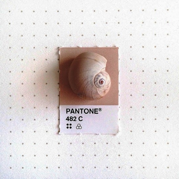 pantone7